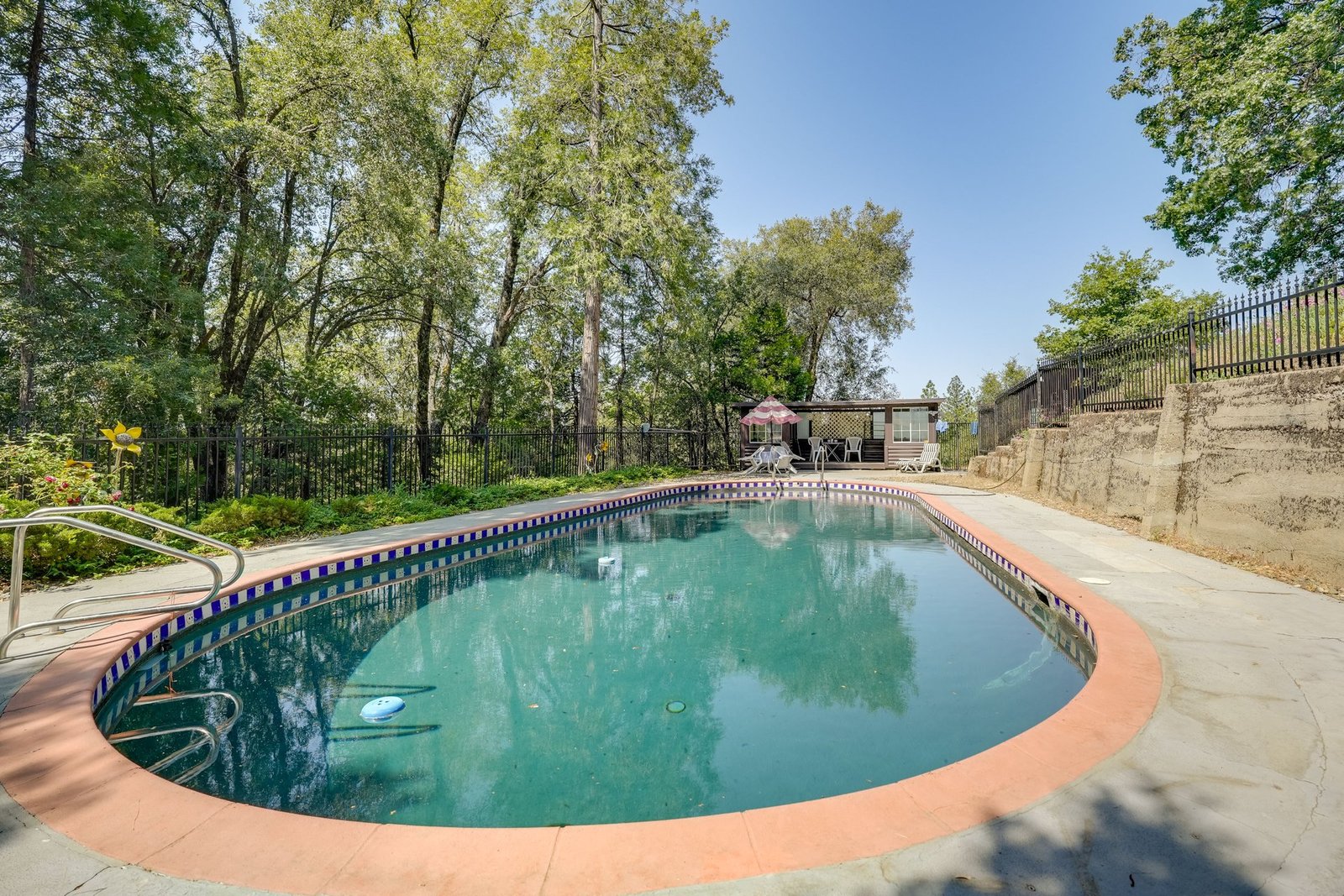 Private pool with forest backdrop